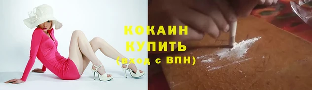 круглые Корсаков