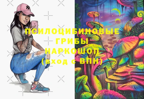 твердый Костерёво