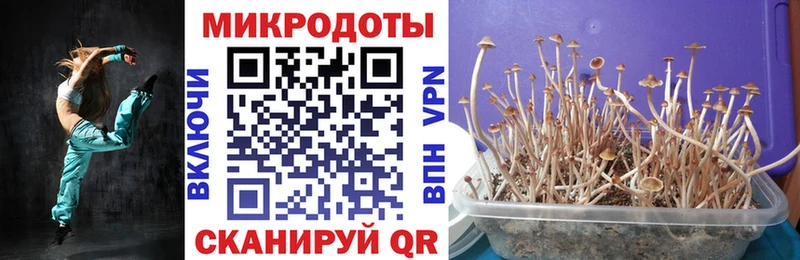 Галлюциногенные грибы прущие грибы  Купить закладки  Волчанск 